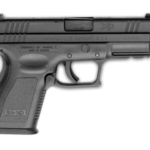 Each gun comes with two 10-round magazines, making this model California compliant.