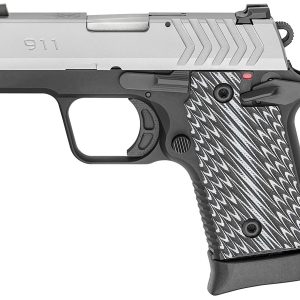 Springfield 911 380 ACP Stainless Gear Up Package with 5 Magazines and Notebook Gun Case